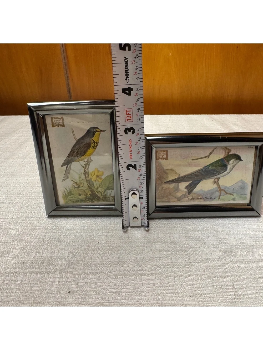 Vintage Mini Bird Prints in Silver Tone Frames Set of 2 Dwight’s Soda Card Art
